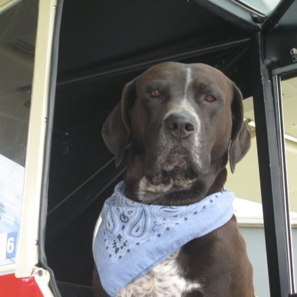 Meet your Posher, Dee